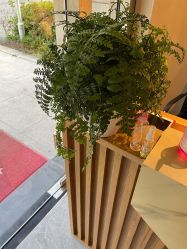 -唯伊美塑身美养连锁