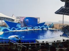 -上海海昌海洋公园