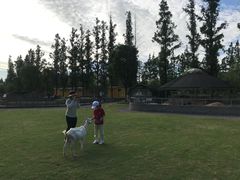 -前小桔亲子创意农场·草莓采摘·露营烧烤