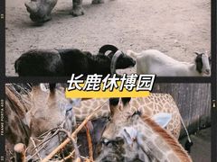 -聚福山莊·寻味顺德(北滘店)