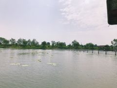 -白洋淀景区