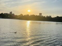 -黄兴公园