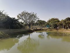 -福田红树林生态公园