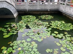 -卓刀泉寺