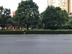 -奈雪的茶(南山大冲一期店)