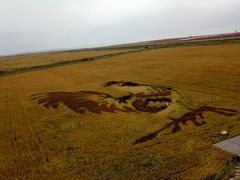 -红海滩国家风景廊道