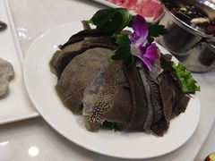 毛肚-朝天门火锅(围场店)