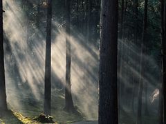 -玉苍山国家森林公园
