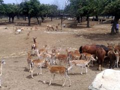 景点-西安秦岭野生动物园