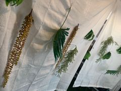 -天空花园餐吧·生日·团建(南山店)