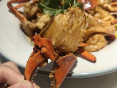 -石头咕(黄岐店)