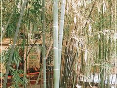 -北国之春国宴(乌兰察布店)