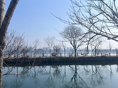 -无锡蠡湖国家湿地公园-蠡园