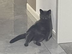 -鲜道寿司(无锡苏宁店)