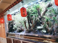 -闽南厝·闽南菜(福隆店)