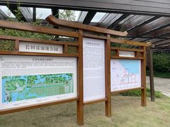-长田漾湿地公园