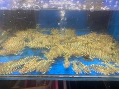 -好兄弟郭巨海鲜(天一阁店)