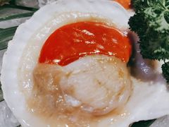 -鸽子窝(青塔店)