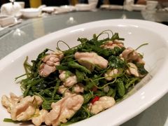 龙须苗拌桃仁-徐记海鲜(大雁塔|金都店)