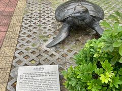 -广东惠东海龟国家级自然保护区