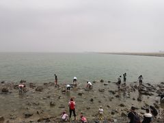 -东疆建设开发纪念公园