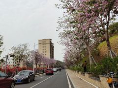 -小南山公园
