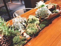 -微热山丘(台北民生公园门市店)