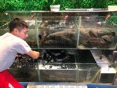 -江南鱼捞(北仑银泰城店)