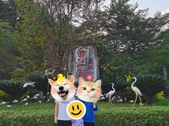 -广州白江湖森林公园