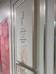 -镁连社·美联社