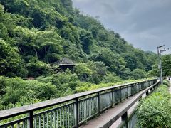 -阿哈湖国家湿地公园