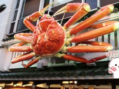 -蟹道乐(道顿堀本店)