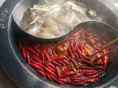 -川西坝子(老军营店)