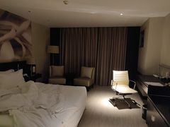 -国家会议中心大酒店