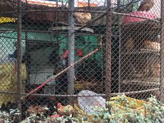 -荔城生鲜盛宴(番禺旗舰店)