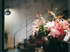 -Apollo·西班牙小酒馆(安福路店)