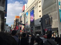 -涩谷区