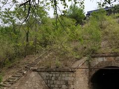 -白水寺森林公园