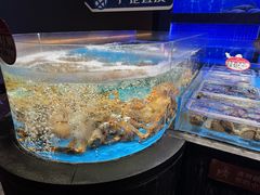 -徐记海鲜(大雁塔|金都店)