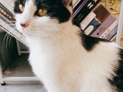 -五进制 Coffee Shop