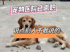 -中农大我爱我爱动物医院·核磁CT·猫病·24小时夜诊中心(石佛营店)