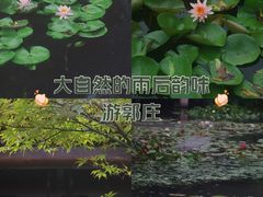 -郭庄景区