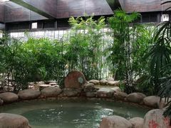 -三江森林温泉度假区