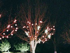 -瀛海足球主题公园