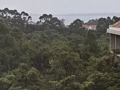 -厦门国家会计学院