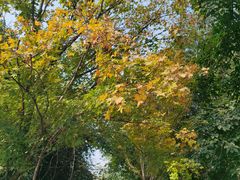 -山城巷传统风貌区