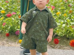 -菊园百果园