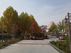 -雁滩公园