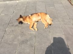 -亦缘居私家别院