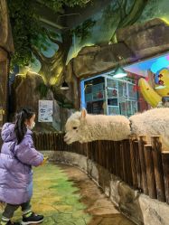 -宝燕乐园(闵行旗舰店)